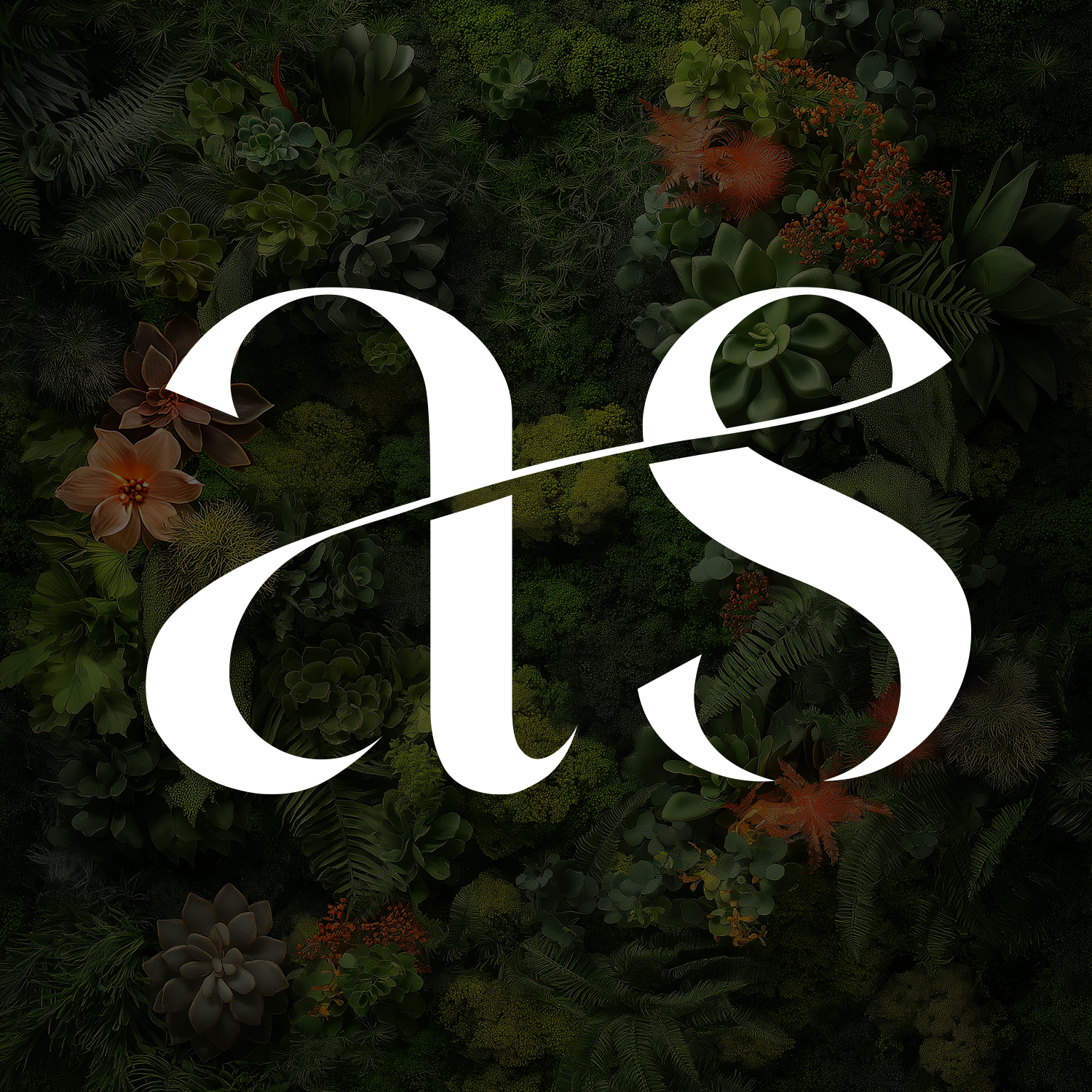 Oasis typography — Hermione font