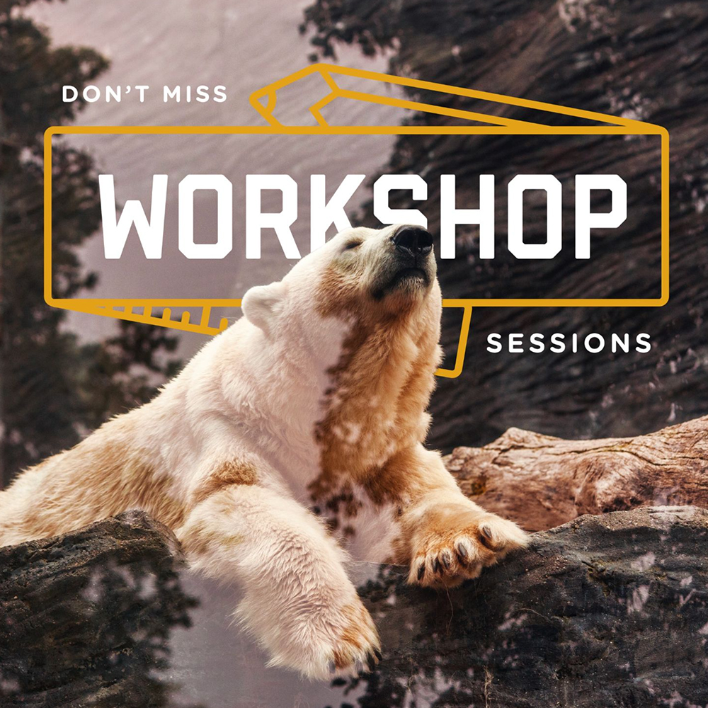Workshop bear